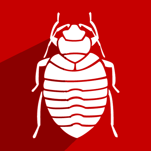 Bedbug Control In Birmingham