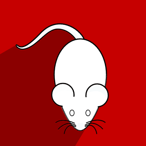 Mice Control In Birmingham