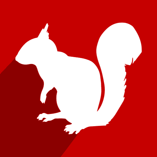 Squirrel Control In Birmingham
