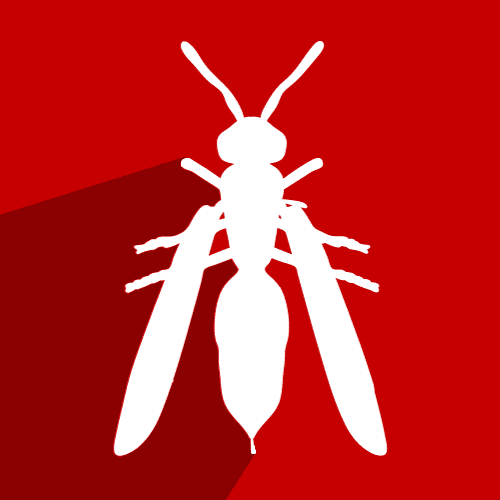 Wasp Control In Birmingham